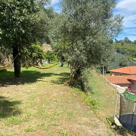 Quinta Rolim Do Bouro By Se Bauernhof *