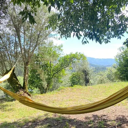 Quinta Rolim Do Bouro By Se Bauernhof *