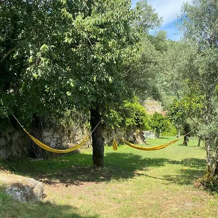 Quinta Rolim Do Bouro By Se Roucio