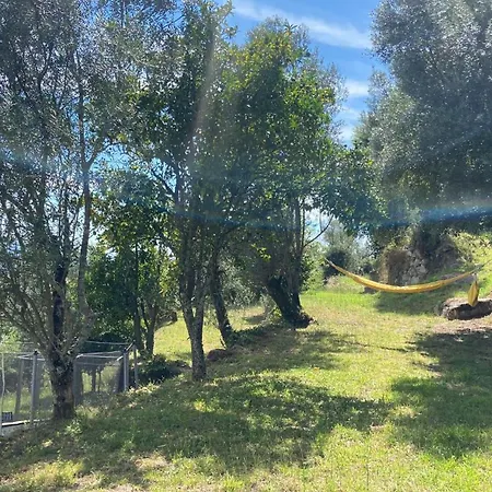 Quinta Rolim Do Bouro By Se * Roucio