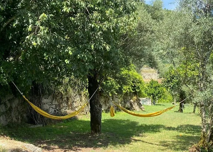 Quinta Rolim Do Bouro By Se Roucio